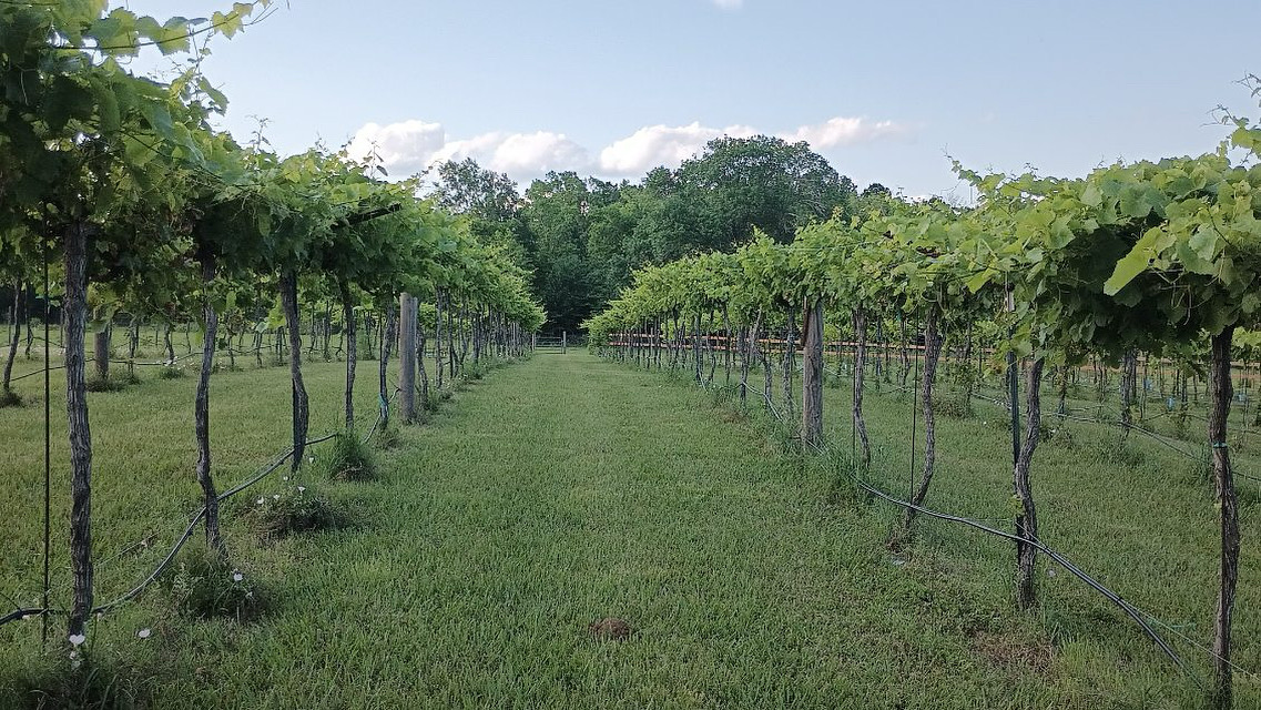 Website hero image 2025